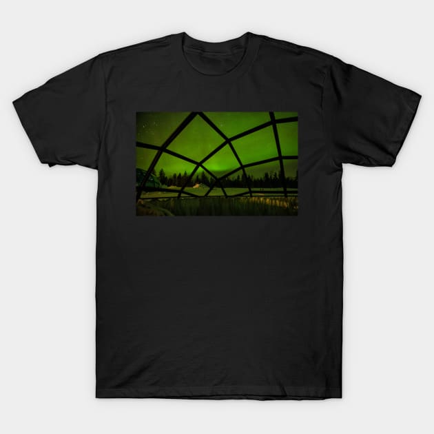 Inside the Glass Igloo T-Shirt by krepsher